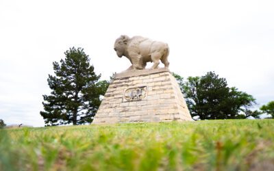 Bison Sculpture