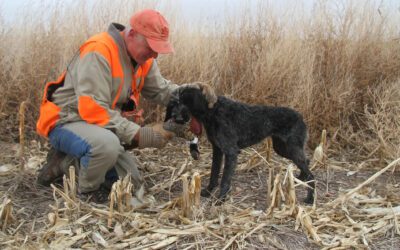 Hunting in Oakley